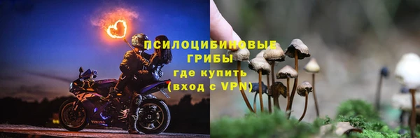 PSILOCYBIN Армянск