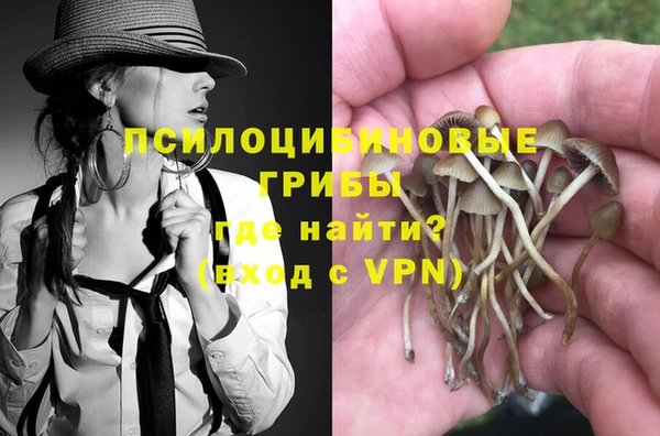 PSILOCYBIN Армянск