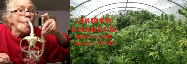 PSILOCYBIN Армянск