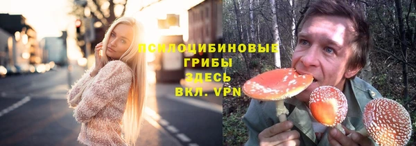 PSILOCYBIN Армянск