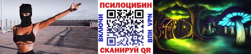 Псилоцибиновые грибы мицелий  купить наркоту  Сертолово 